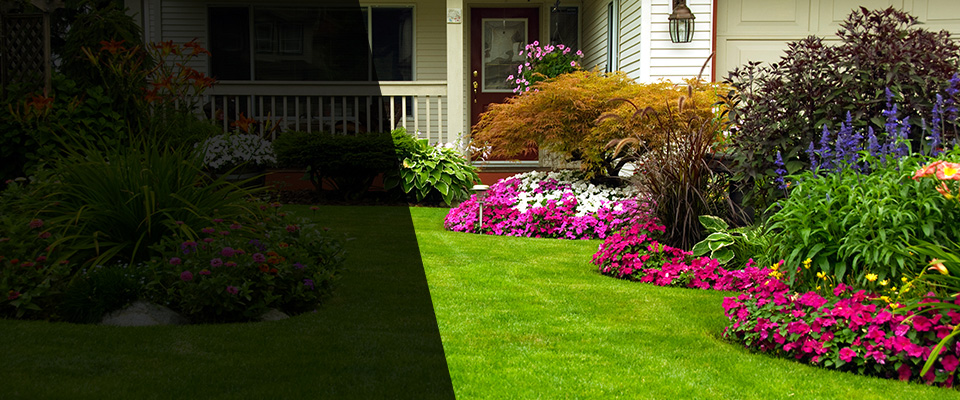 Hawkinsville Landscapers
