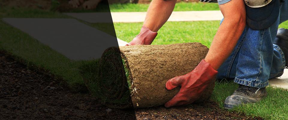 Hawkinsville Landscapers